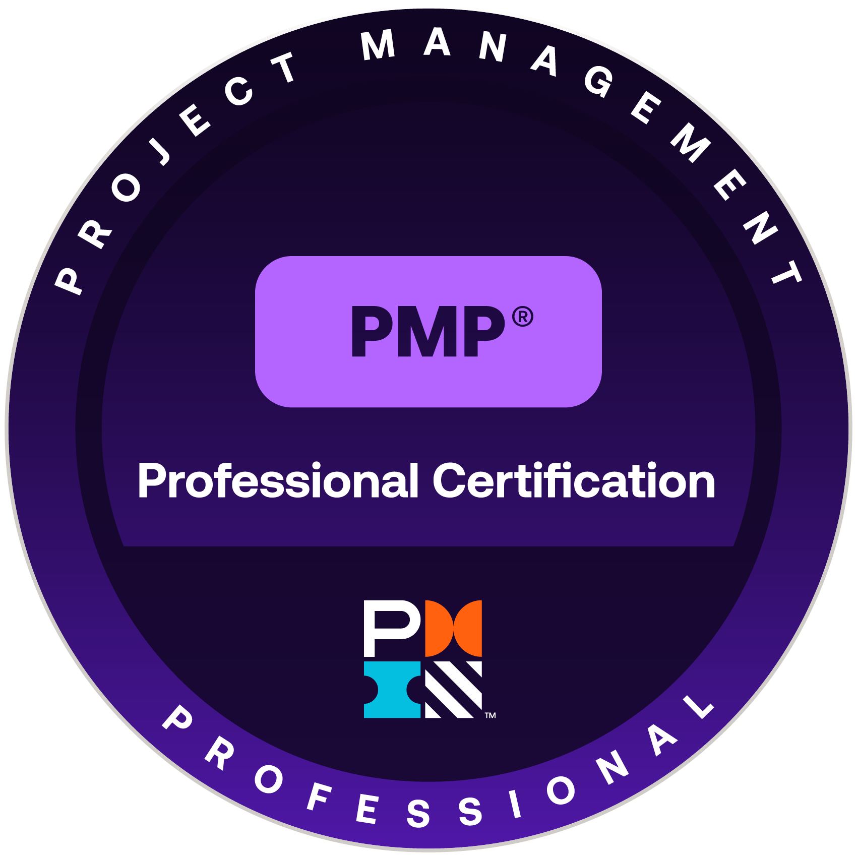 Selo PMP, Project Management Professional